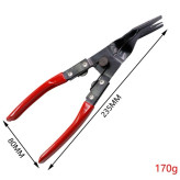 انبر خار رودری